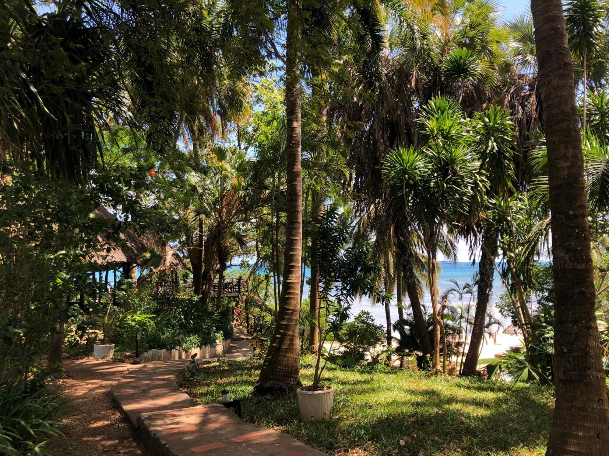 Mbweni Ruins & Gardens Previously Jungle Paradise ザンジバルシティ エクステリア 写真