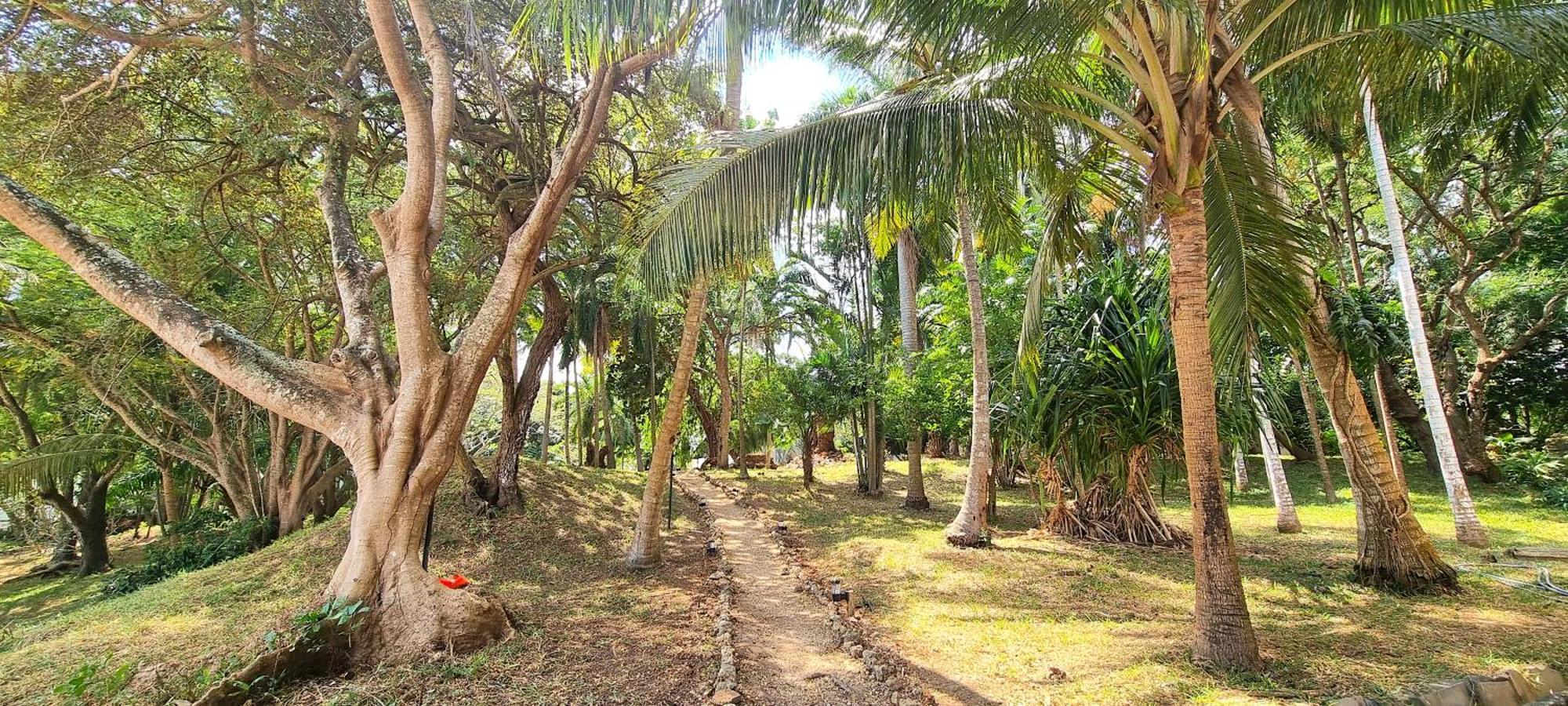 Mbweni Ruins & Gardens Previously Jungle Paradise ザンジバルシティ エクステリア 写真