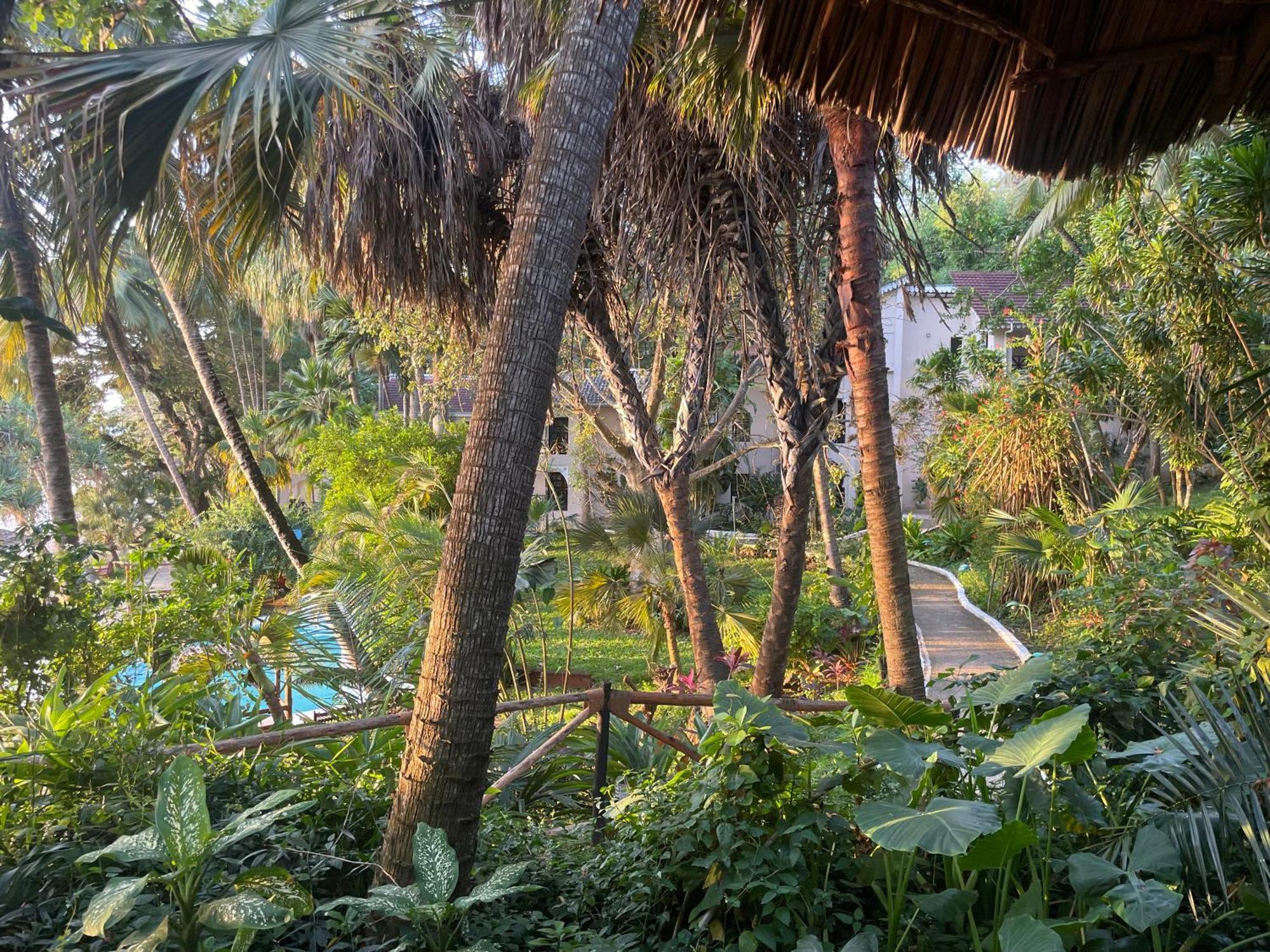 Mbweni Ruins & Gardens Previously Jungle Paradise ザンジバルシティ エクステリア 写真
