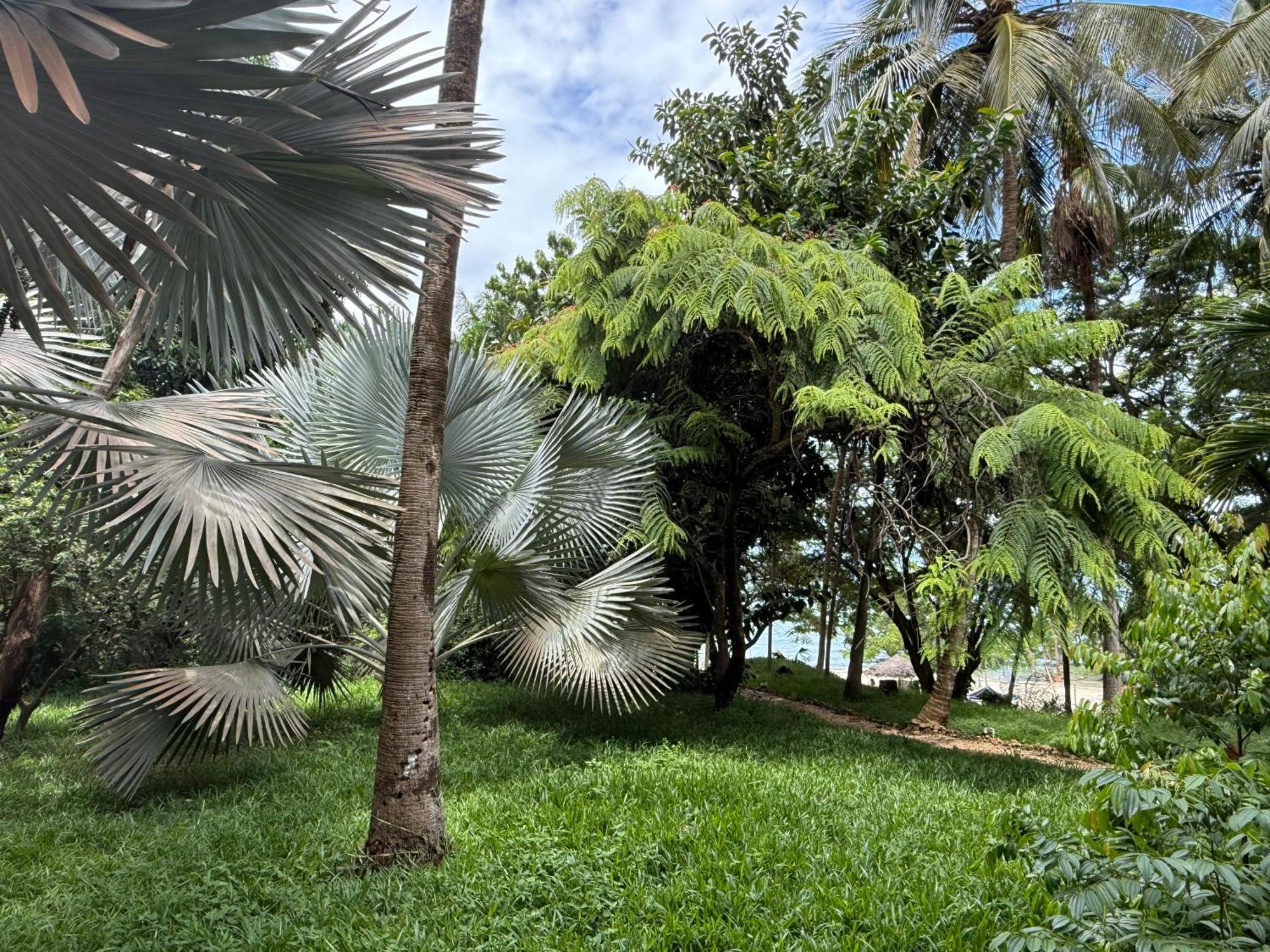 Mbweni Ruins & Gardens Previously Jungle Paradise ザンジバルシティ エクステリア 写真